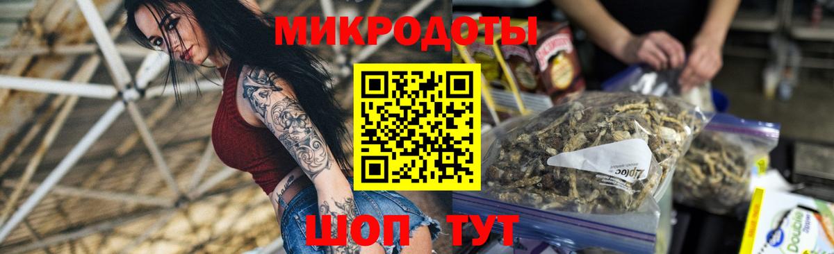 купить наркотик  Вход с VPN  Каменка  Галлюциногенные грибы ЛСД 